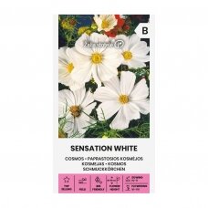 Paprastosios kosmėjos „SENSATION WHITE“, gėlių sėklos, Žalia stotelė