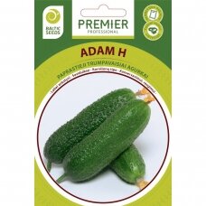 Agurkai „ADAM H“, daržovių sėklos, BALTIC SEEDS, 20 sėklų