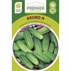 Agurkai „AKORD H“, daržovių sėklos, BALTIC SEEDS, 60 sėklų
