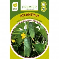 Agurkai „ATLANTIS  H“, daržovių sėklos, BALTIC SEEDS, 60 sėklų