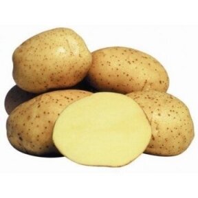 Ankstyvos  sėklinės bulvės VINETA  5kg