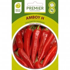 Aštriosios paprikos „AMBOY H“, daržovių sėklos, BALTIC SEEDS, 10 sėklų