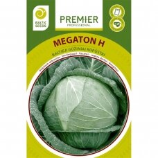 Baltagūžiai kopūstai „MEGATON H“, daržovių sėklos, BALTIC SEEDS, 45 sėklos