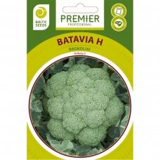 Brokoliai „BATAVIA H“, daržovių sėklos, BALTIC SEEDS, 30 sėklų