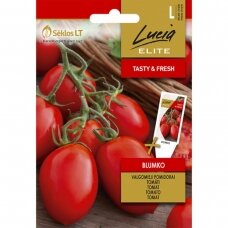 Valgomieji pomidorai  BLUMKO