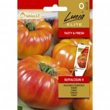 Valgomieji pomidorai  BUFFALOSUN H