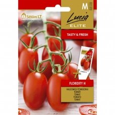 ELN-Pomidorai Floridity H