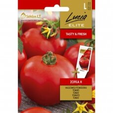 Valgomieji pomidorai  ZOFKA H