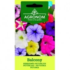 Hibridinės petunijos „BALCONY", gėlių sėklos, AGRONOM