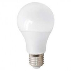 LED lemputė A60-12W WW
