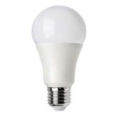 LED lemputė  A65-15W WW