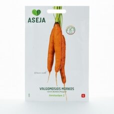 Morkos „Amsterdam 2“, daržovių sėklos, ASEJA