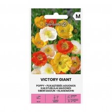Plikastiebės aguonos „VICTORY GIANT“, gėlių sėklos, Žalia stotelė