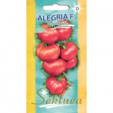 Valgomieji pomidorai Alegria F1 (lot. SOLANUM LYCOPERSICUM)