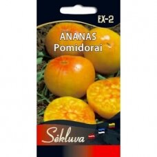 Valgomieji pomidorai Ananas (lot. SOLANUM LYCOPERSICUM)