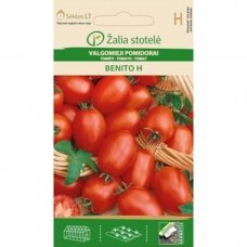 Valgomieji pomidorai  BENITO H
