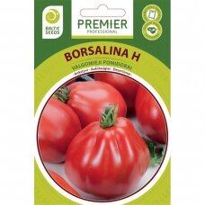 Pomidorai „BORSALINA H“, daržovių sėklos, BALTIC SEEDS, 5 sėklos