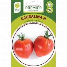Pomidorai „CAURALINA H“, daržovių sėklos, BALTIC SEEDS, 5 sėklos