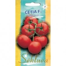 Valgomieji pomidorai Cetia F1 (lot. SOLANUM LYCOPERSICUM)