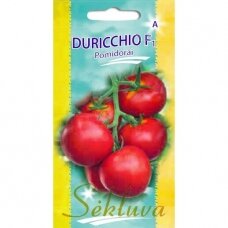 Valgomieji pomidorai Diuricchio F1 (lot. SOLANUM LYCOPERSICUM)