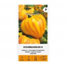 Valgomieji pomidorai Gourmansun H (lot. SOLANUM LYCOPERSICUM L.)