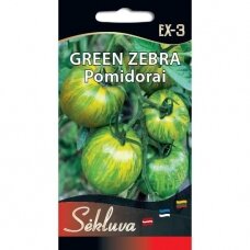 Valgomieji pomidorai Green Zebra (lot. SOLANUM LYCOPERSICUM)