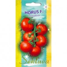 Valgomieji Pomidorai Horus F1 (lot. SOLANUM LYCOPERSICUM)