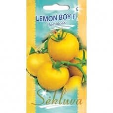 Valgomieji pomidorai Lemon Boy F1 (lot. SOLANUM LYCOPERSICUM)
