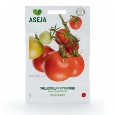 Pomidorai „Moneymaker“, daržovių sėklos, ASEJA