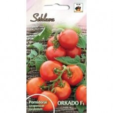 Valgomieji pomidorai Orkado F1 (lot. SOLANUM LYCOPERSICUM)