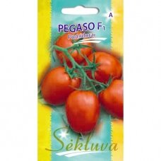 Valgomieji pomidorai Pegaso F1 (lot. SOLANUM LYCOPERSICUM)