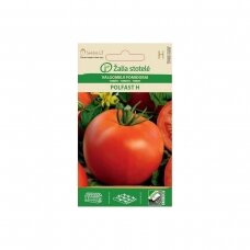 Valgomieji pomidorai POLFAST H