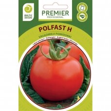 Pomidorai „POLFAST H“, daržovių sėklos, BALTIC SEEDS, 35 sėklos