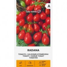 Valgomieji pomidorai RADANA (lot. Solanum lycopersicum L)