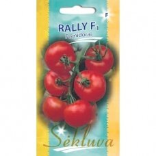 Valgomieji pomidorai Rally F1 (lot.  SOLANUM LYCOPERSICUM)
