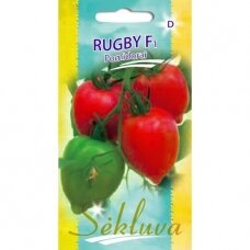 Valgomieji pomidorai Rugby F1 (lot. SOLANUM LYCOPERSICUM)