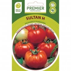 Pomidorai „SULTAN H“, daržovių sėklos, BALTIC SEEDS, 35 sėklos