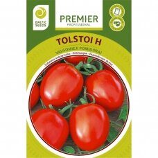 Pomidorai „TOLSTOI H“, daržovių sėklos, BALTIC SEEDS, 35 sėklos