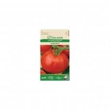 Valgomieji pomidorai URAGAN H