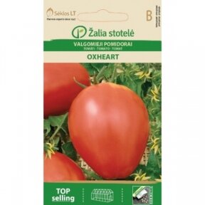 Valgomieji pomidorai OXHEART  ( JAUČIO ŠIRDIS )