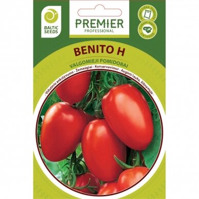 Pomidorai „BENITO H“, daržovių sėklos, BALTIC SEEDS, 35 sėklos