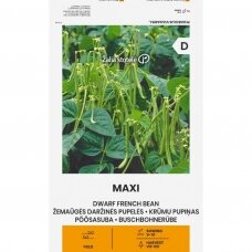 Daržinės žemaūgės pupelės MAXI (Phaseolus vulgaris L.)