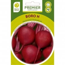 Raudonieji burokėliai „BORO H“, daržovių sėklos, BALTIC SEEDS, 200 sėklų