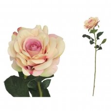 Rožė 70cm