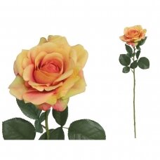 Rožė 70cm