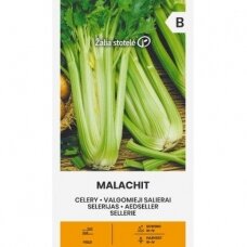 Valgomieji salierai „MALACHIT“, daržovių sėklos, Žalia stotelė