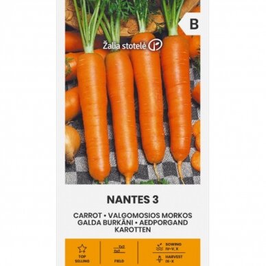 Valgomosios morkos NANTES 3 1