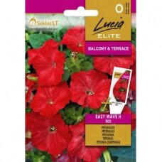 Vienmetės petunijos „EASY WAVE H RED", gėlių sėklos, Lucia ELITE