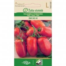 Valgomieji pomidorai  INCAS H
