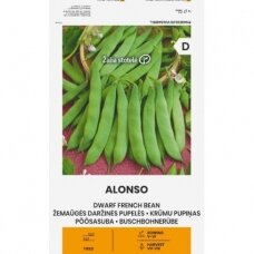 Daržinės žemaūgės pupelės ALONSO (Phaseolus vulgaris L.)